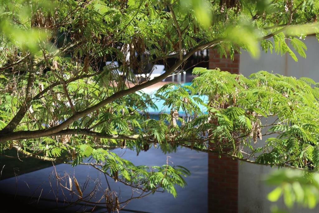 Lagos, Meia Beach, Marina Apartment *
